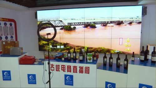 京東集團西北區總部考察青銅峽市電子商務服務，共謀區域數字經濟發展新篇章